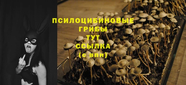 МДМА Беломорск