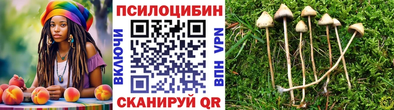 наркотики  Дмитровск  Галлюциногенные грибы ЛСД 